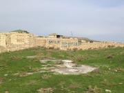 Satılır 500 sot torpaq Saray