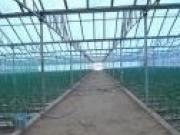 Satılır 160 sot torpaq Həzi Aslanov m.