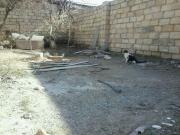 Satılır 8 sot torpaq Saray