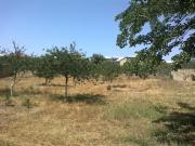 Satılır 6 sot torpaq Saray