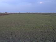 Satılır 200 sot torpaq Saatlı