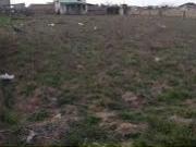 Satılır 8 sot torpaq Albalı