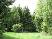 Satılır 136 sot torpaq Qusar