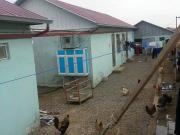 Satılır 2 otaqlı 150 m2 bağ evi Məhəmmədli