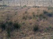 Satılır 2 sot torpaq Ramana