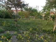 Satılır 12 sot torpaq Lənkəran