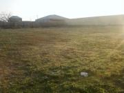 Satılır 51 sot torpaq İsmayıllı