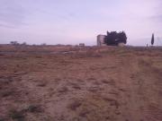 Satılır 1200 sot torpaq Kürdəxanı