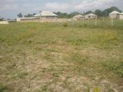 Satılır 61000 sot torpaq Mehdiabad