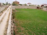 Satılır 12 sot torpaq Zirə