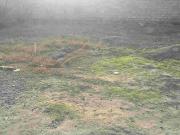 Satılır 3 sot torpaq Nübar