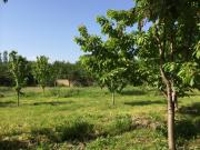 Satılır 10 sot torpaq Quba