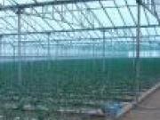 Satılır 160 sot torpaq Qaradağ r.