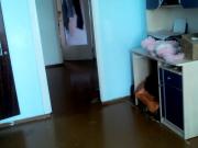 İcarəyə verilir 3 otaqlı 65 m2 köhnə tikili 8 km