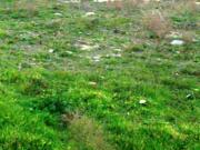 Satılır 400 sot torpaq Zabrat 1