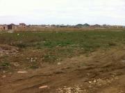 Satılır 1500 sot torpaq Binə