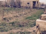 Satılır 5 sot torpaq Saray