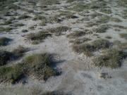 Satılır 2800 sot torpaq Binəqədi