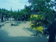 Satılır 50 sot torpaq Şamaxı