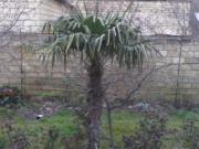 Satılır 2 sot torpaq Biləcəri