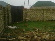 Satılır 2 sot torpaq Hövsan