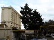 Satılır 1 otaqlı 42 m2 köhnə tikili Bayıl