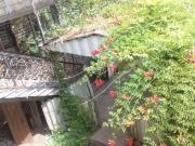 Satılır 9 otaqlı 8000 m2 bağ evi Şamaxı