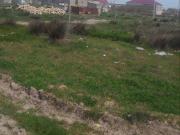 Satılır 300 sot torpaq Fatmayı