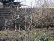 Satılır 3 sot torpaq 8 km