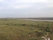 Satılır 6 sot torpaq Görədil