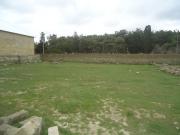 Satılır 450 sot torpaq Məhəmmədli