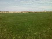 Satılır 100 sot torpaq Binə