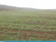 Satılır 27 sot torpaq Qala