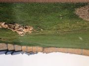 Satılır 15 sot torpaq Şamaxı