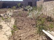 Satılır 5 sot torpaq Ramana