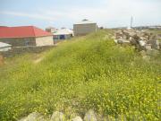 Satılır 300 sot torpaq Zabrat 1