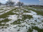 Satılır 23 sot torpaq Quba