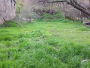 Satılır 15 sot torpaq Qaraçuxur