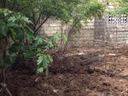 Satılır 100 sot torpaq Biləcəri