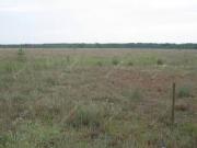 Satılır 140 sot torpaq Zabrat 1