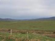 Satılır 10 sot torpaq Şabran