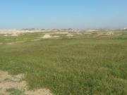 Satılır 10 sot torpaq Türkan