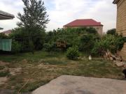 Satılır 5500 sot torpaq Sulutəpə