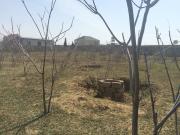 Satılır 6 sot torpaq Pirşağı