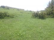 Satılır 12 sot torpaq Şamaxı