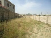 Satılır 600 sot torpaq Məhəmmədli