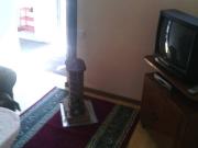 İcarəyə verilir 2 otaqlı 0 m2 bağ evi Zaqatala