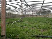 Satılır 2 sot torpaq Y.Ramana