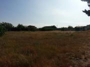 Satılır 24 sot torpaq Novxanı