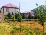 Satılır 600 sot torpaq Biləcəri